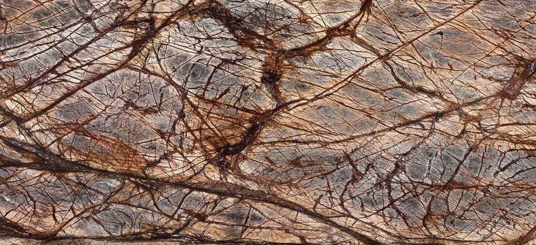 Rain Forest Brown Marble